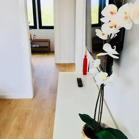 Tatil Evi Beach Ebi00634 *
